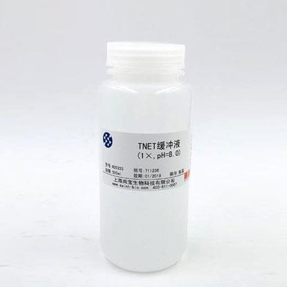 Tris鎂鹽緩沖液（1×，pH=7.8）