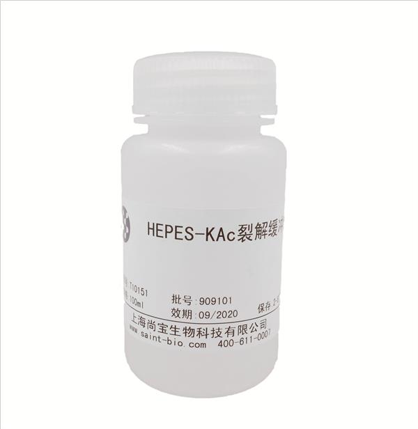 HEPES-KAc裂解緩沖液(無菌)